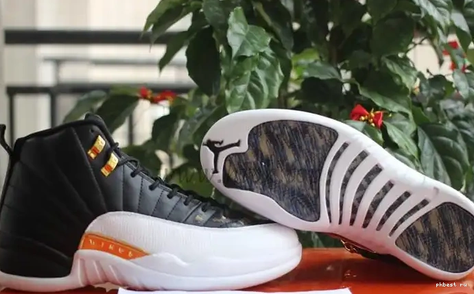 Air Retro Wings Jordan 12 Authentic 0519